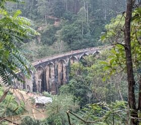 Trip Report – Kandy and Colombo, Sri Lanka